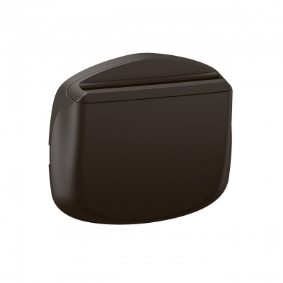Enjoliveur - Pour interrupteur � badge - Noir - Legrand C�liane CN0010