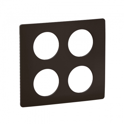 Plaque de finition - 2 x 2 Postes - Noir mat - Legrand C�liane CP0109
