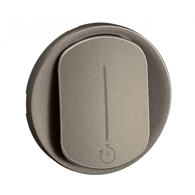 Enjoliveur - Pour interrupteur temporis� - Titane - Legrand C�liane CT0077