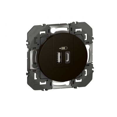 Chargeur USB - Type A+C - 3A - 15 Watts - Noir - Legrand Dooxie 600549