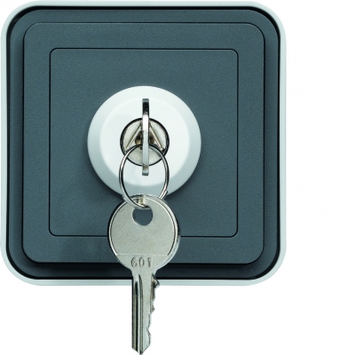 Interrupteur � cl� 2 positions 10A Hager Cubyko saillie complet gris