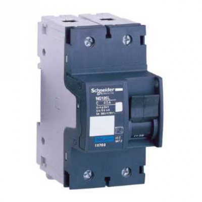 Disjoncteur - Schneider NG125L - 2 P�les - 10 Amp�res - Schneider electric 18788