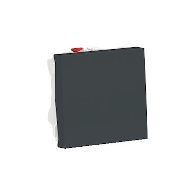 Bouton poussoir - 2 Modules - NO - 10A - Bornes auto - Anthracite - Schneider Unica NU320654
