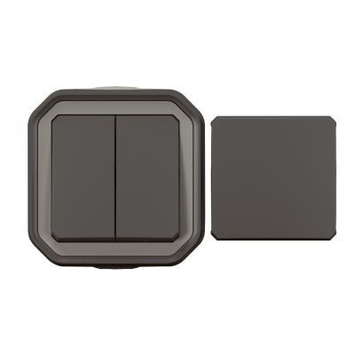 Transformeur r�versible - Anthracite - Saillie - Legrand plexo 069789L