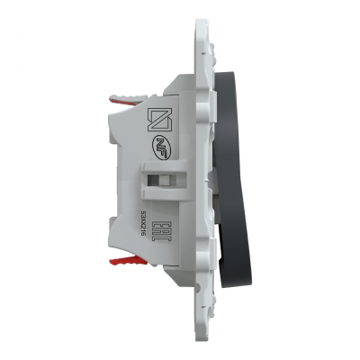 Bouton poussoir - Double - Anthracite - Schneider Electric S340216