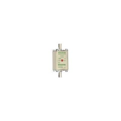 Fusibles � couteaux - NH0 - 0 AM - 125A - Avec indicateur - 500V - Mersen Z232506