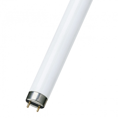 Tube fluorescent - Ultra violet - G13 - 20W - T8 - 26 x 590 mm - Sp�ciale insecte - Bailey 50200038704