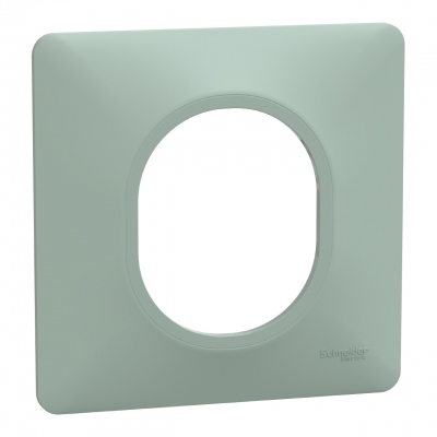 Plaque de finition - Ovalis - 1 Poste - Sauge - Schneider Electric S320702A