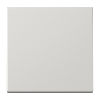 Enjoliveur - Simple touche - LS - Gris clair - Jung LS990LG