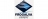 Goupillon nylon plat 50X15 acier - Progalva 1931