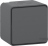 Interrupteur bipolaire - Gris - Saillie - Mureva styl - Schneider electric MUR35033