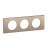 Plaque de finition - 3 Postes - Nickel satin� - Legrand C�liane CP2103