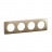 Plaque de finition - 4 Postes - Bronze satin� - Legrand C�liane CP1604