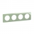 Plaque de finition - 4 Postes - Vert C�ladon - Legrand C�liane CP0504