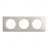Plaque de finition - 3 Postes - Aluminium satin� - Legrand C�liane CP1703