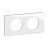 Plaque de finition - 2 Postes - Porcelaine de Limoges - Legrand C�liane CP2302