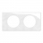 Plaque de finition - 2 Postes - Porcelaine de Limoges - Legrand C�liane CP2302