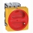 Interrupteur de proximit� - 3 p�les - 80A - Encastr� - Legrand 022106
