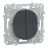 Va et vient - Double - 10A - Anthracite - Schneider Electric S340214