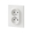 Prise de courant - 2 x 2P+T - 1 poste - Blanc - Legrand Dooxie 600321