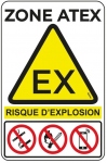 Panneau - PVC - Rectangle - ZONE ATEX - Lot de 1 - Bizline 730753